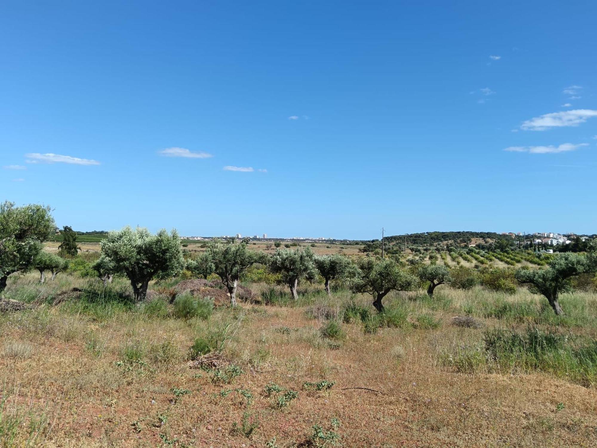 Quinta Da Fornalha - Santuario Agroecologico Villa Castro Marim Kültér fotó