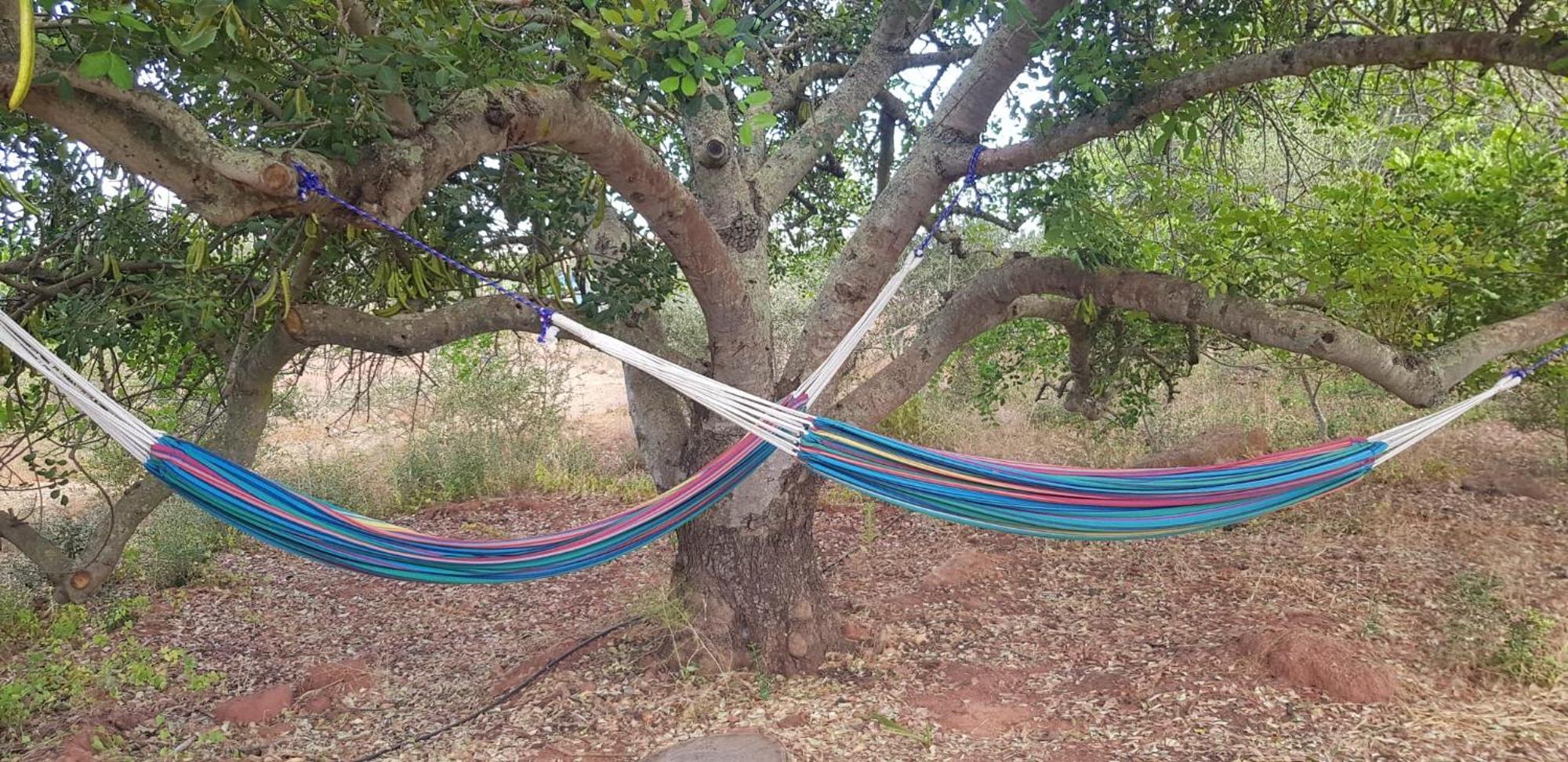 Quinta Da Fornalha - Santuario Agroecologico Villa Castro Marim Kültér fotó