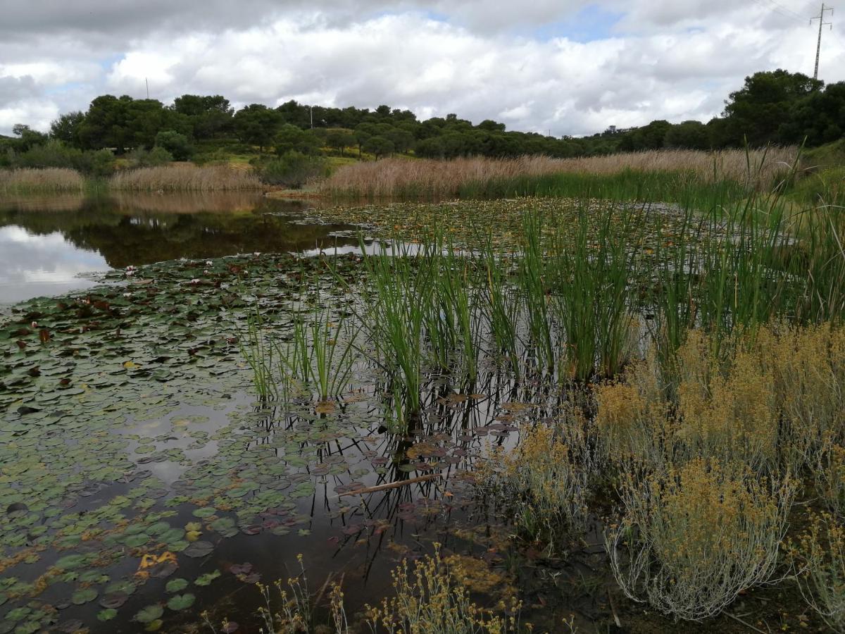 Quinta Da Fornalha - Santuario Agroecologico Villa Castro Marim Kültér fotó